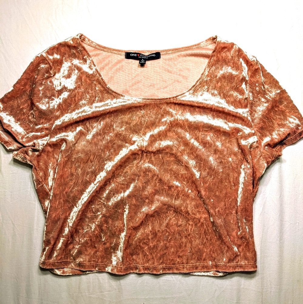 Rose Gold Velvet Cropped Tee